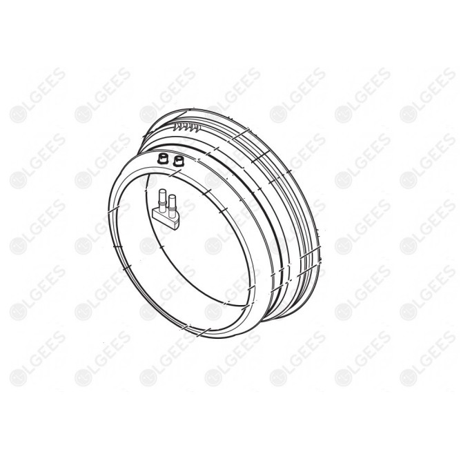 Goma Escotilla MDS55242610 I Lavadoras y Secadoras | Accesorios LG