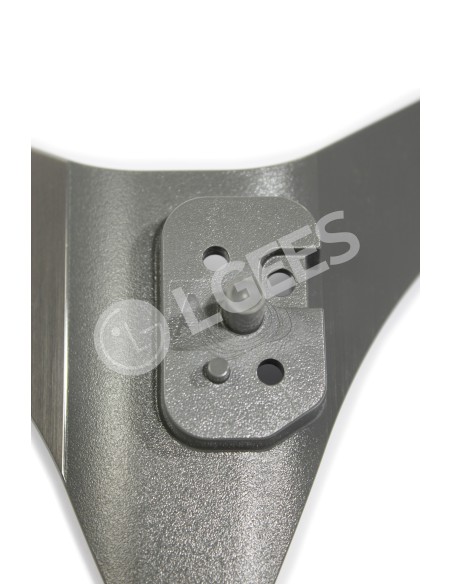 Peana (Pata izquierda) AAN75669715